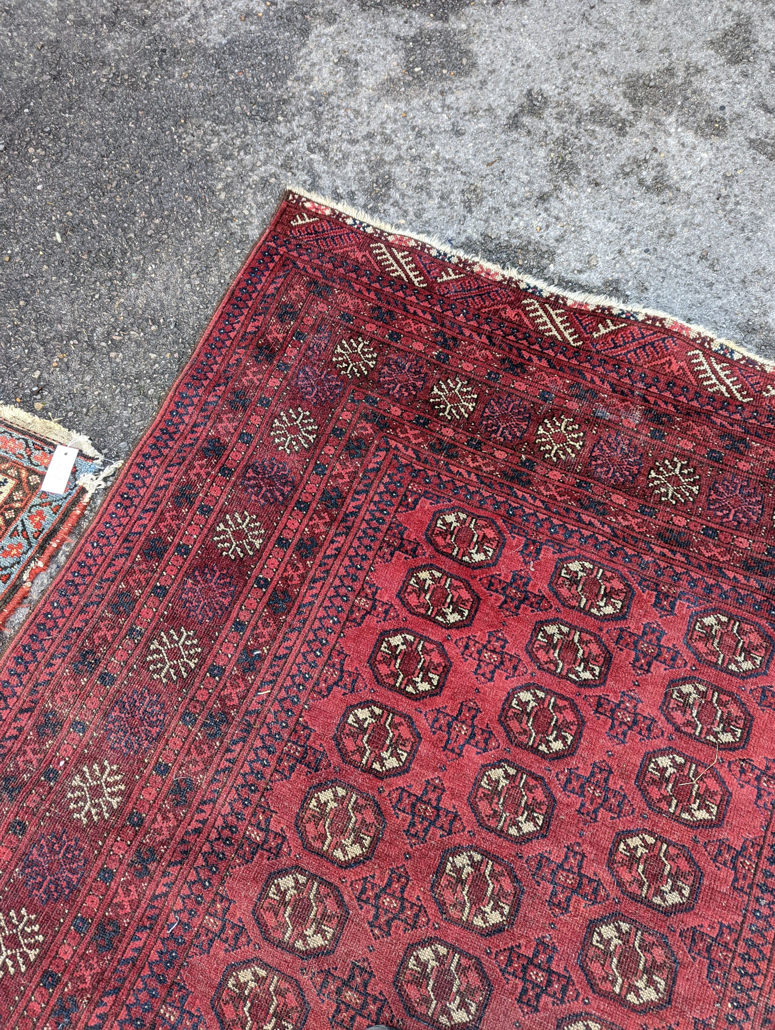A Bokhara red ground rug, 176 x 135cm